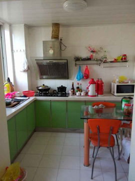 精致生活新選擇 城東新村精裝復式公寓，品質出租